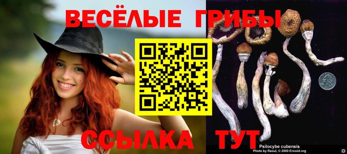 Галлюциногенные грибы GOLDEN TEACHER Ефремов