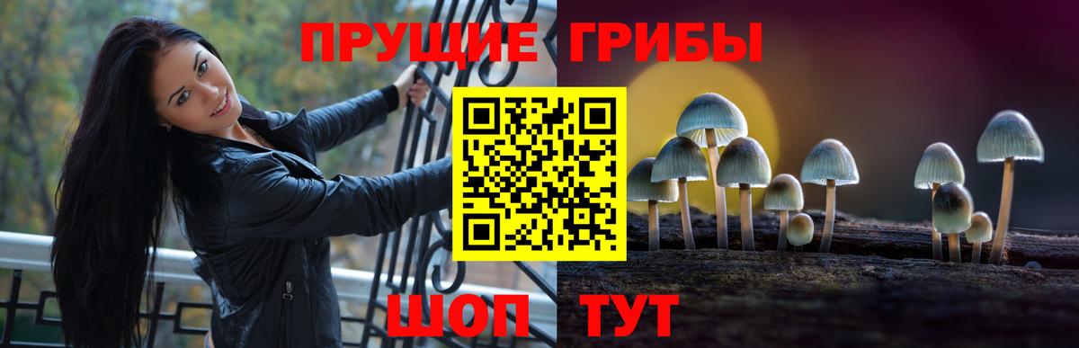 Галлюциногенные грибы прущие грибы  Вход с VPN  Галлюциногенные грибы прущие грибы  Ефремов 